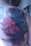 Koi tattoo