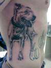 English Bull Terrier portrait tattoo