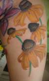 Start of my floral sleeve-Black eyed susans 2 tattoo