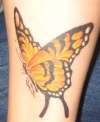 butterfly tattoo