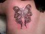 butterfly tattoo
