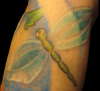 dragonfly tattoo