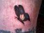 starlas butterfly tattoo