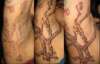 tree tattoo