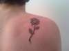Black Rose tattoo