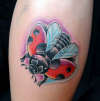 Ladybird tattoo