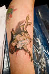 Roaring Ink Tattoo and Piercing Tallahassee Florida