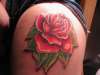 Rose ( on  upper Thigh) tattoo
