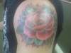 Rose with spider web. tattoo