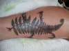 Silver Fern tattoo