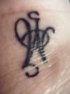 it's not for Bush tattoo
