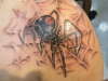 my spider's fucking sick tattoo
