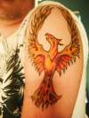pheonix which i designedwith tattoo artist called miranda in gla tattoo
