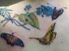 Butterflys and Forget-me-nots tattoo