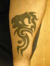 tribal lion, soulfly lion tattoo