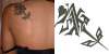 Name in a Rose tattoo