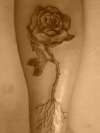 Rose... tattoo