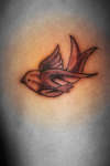 Sparrow tattoo