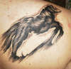 Wolf tattoo