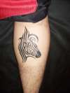 Zebra tattoo