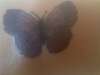 butterfly tattoo