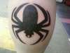 cold spider tattoo
