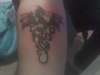 dragon tattoo