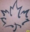 my maple leaf tattoo