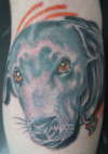 my dog demi tattoo