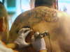 my husband jeffrey doing a tattoo