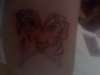 tigerbutterfly tattoo
