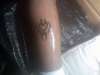 tribal tattoo