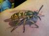 wasp tattoo