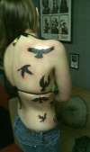 Birds tattoo