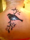 Birdy tattoo