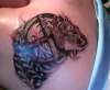 Cougar, medicine wheel, and turkey feathers tattoo