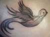 Dove tattoo