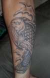 Koi tattoo