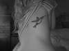Peter the Bird. tattoo