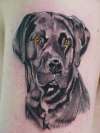 Portrait of Summer Labrador tattoo