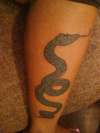 Snake tattoo