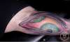 Tool - Aenima tattoo