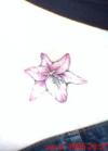 lilly tattoo