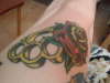 rose tattoo