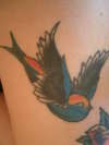 bird tattoo