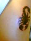 scorpion with red outline tattoo