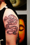 Dragon tattoo