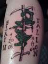 Erika's frogs tattoo
