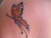 Margo's Butterfly tattoo