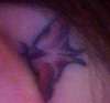 Moth tattoo